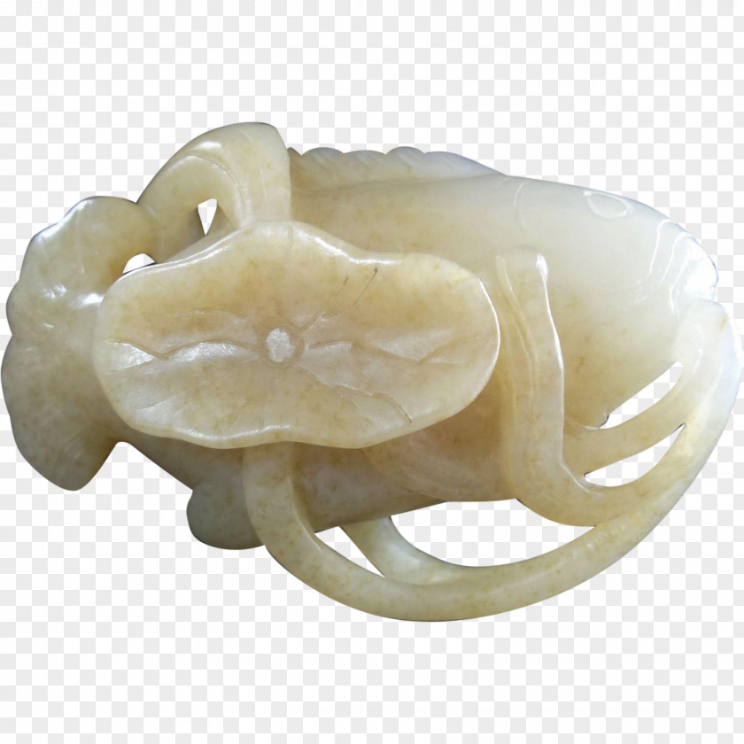 Mutton Jaw PNG