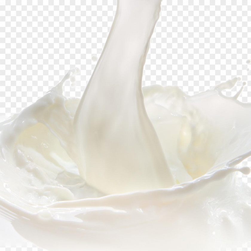 Spray Splashes Of Milk Ice Cream Cows Yogurt Food PNG