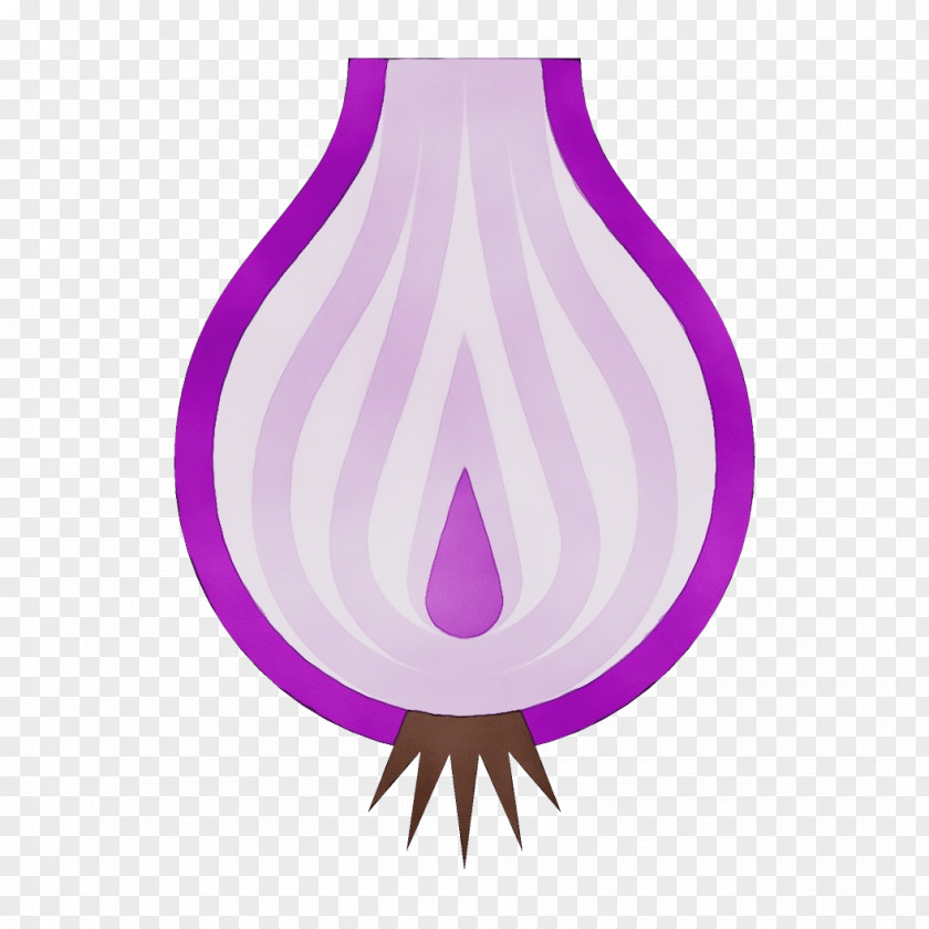 Violet Purple Magenta Plant PNG