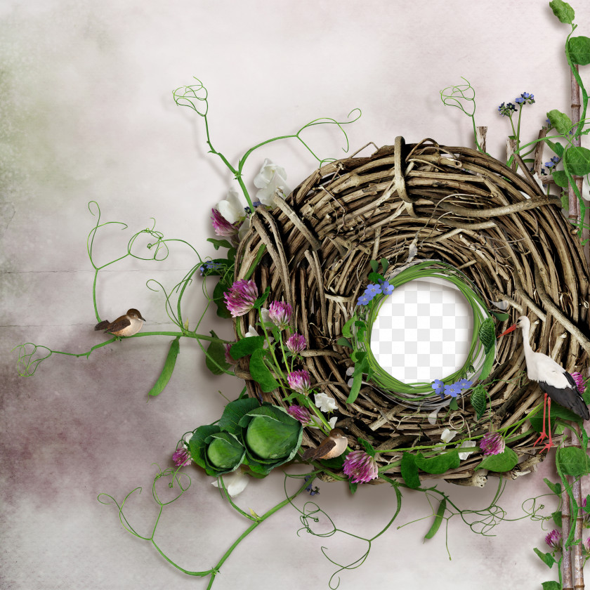 Creative Personality Nest Frame Bird Icon PNG