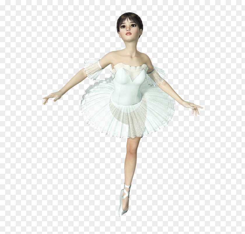 Korea BAILE Tutu Ballet Dance Skirt Paquita PNG