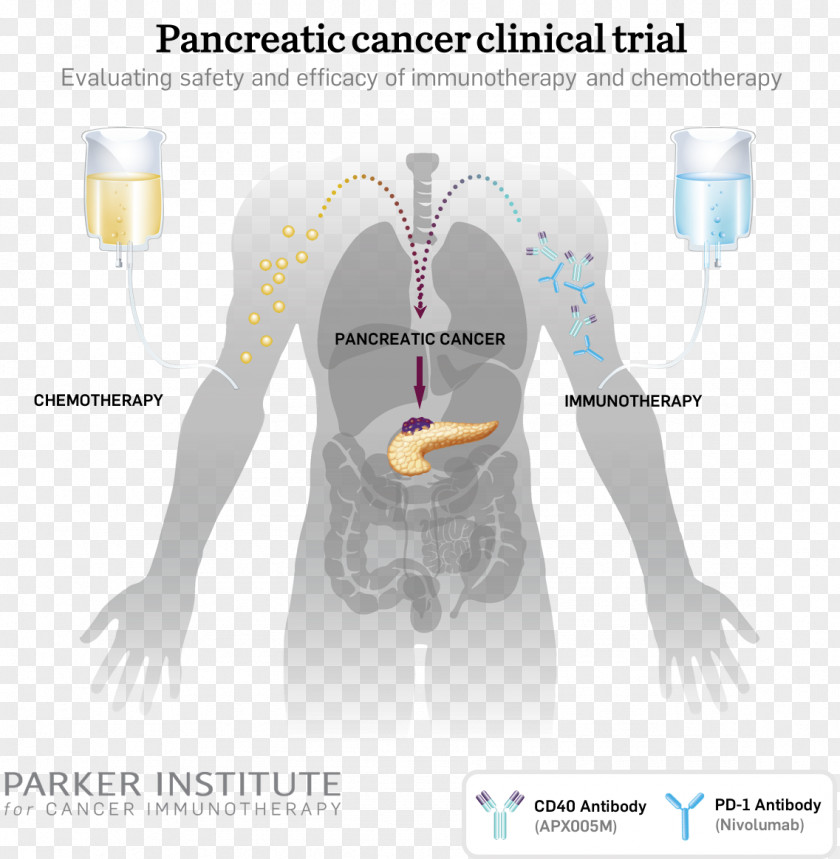Pancreatic Cancer Immunotherapy Research Institute PNG