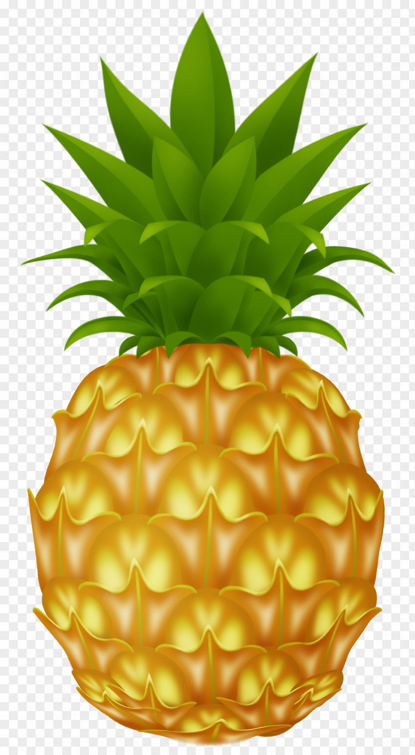 Pineapple Picture Cartoon Clip Art PNG