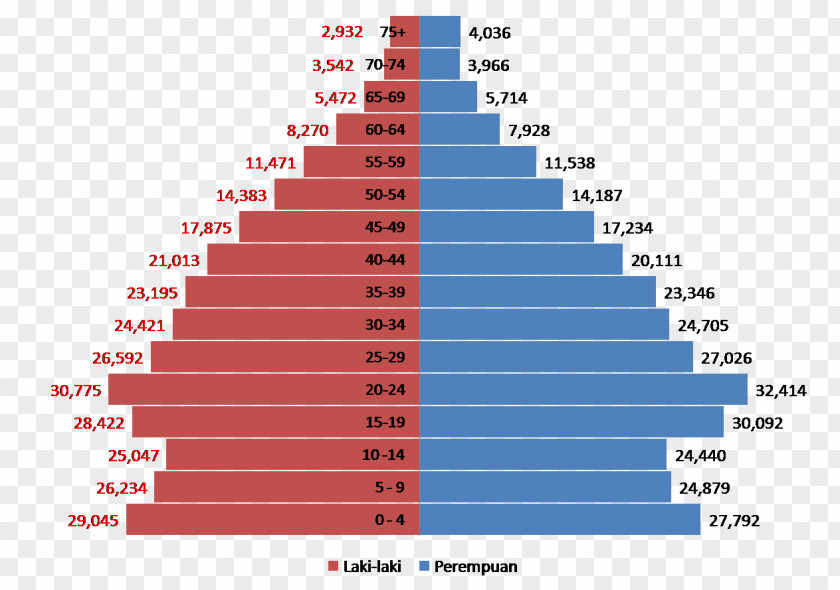 Pontianak Population Pyramid Statistics Indonesia Demography PNG
