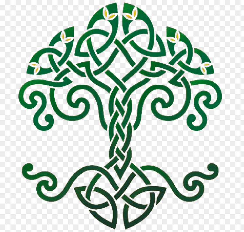 Tree Of Life Celtic Sacred Trees Celts Knot Symbol PNG of life sacred trees knot Symbol, symbol clipart PNG