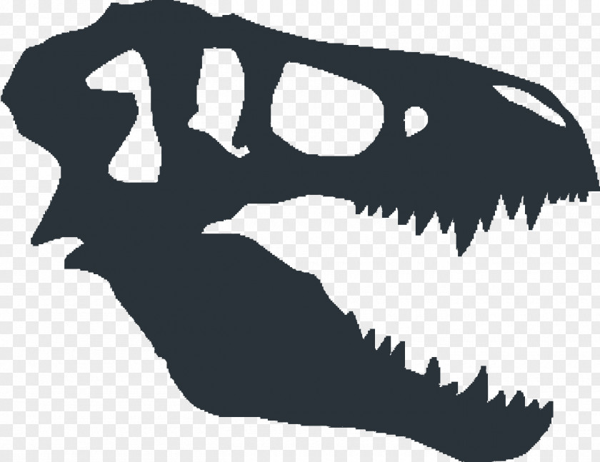Dinosaur Vector Tyrannosaurus Fossils Skull PNG