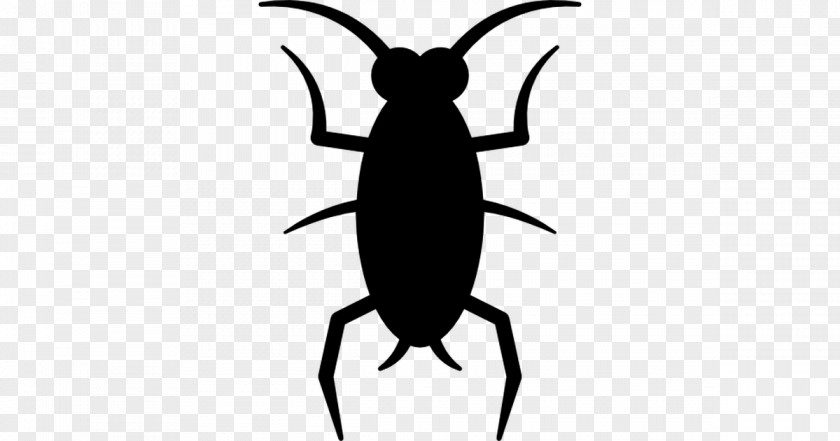 Fly Cockroach Beetle Clip Art PNG