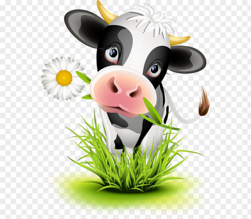 Holstein Friesian Cattle Cow-calf Operation Cartoon PNG