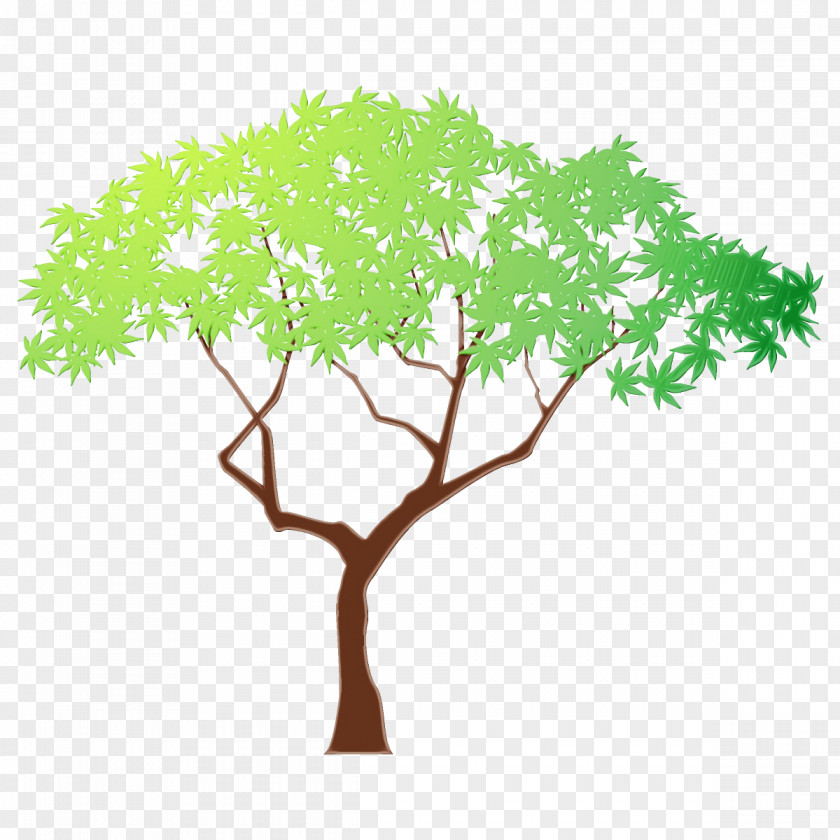 Plant Stem Arbor Day PNG