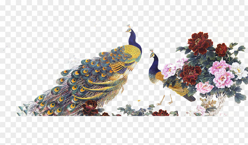 Chinese Antiquity Peacock Peony Moutan Painting Gongbi Peafowl PNG