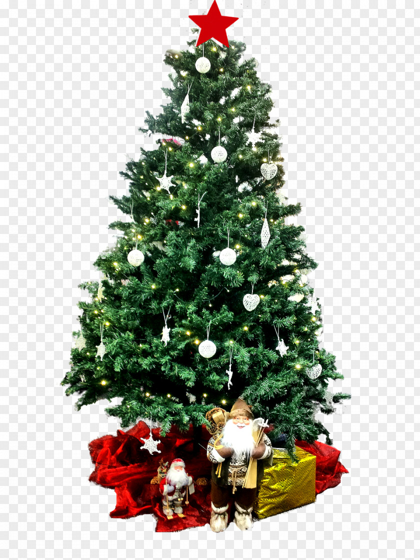Christmas Tree Covered With White Lights PNG