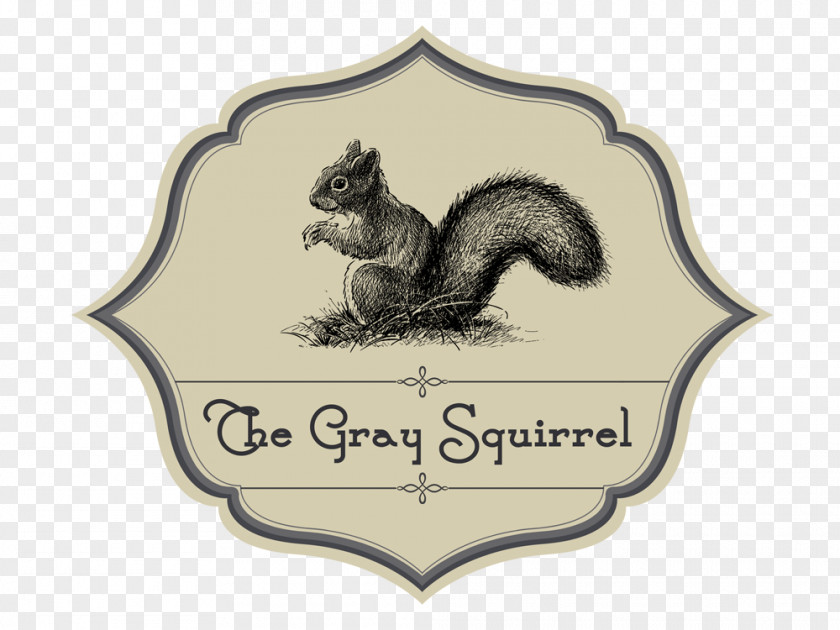 Grey Squirrel Canidae Logo Dog Fauna Mammal PNG