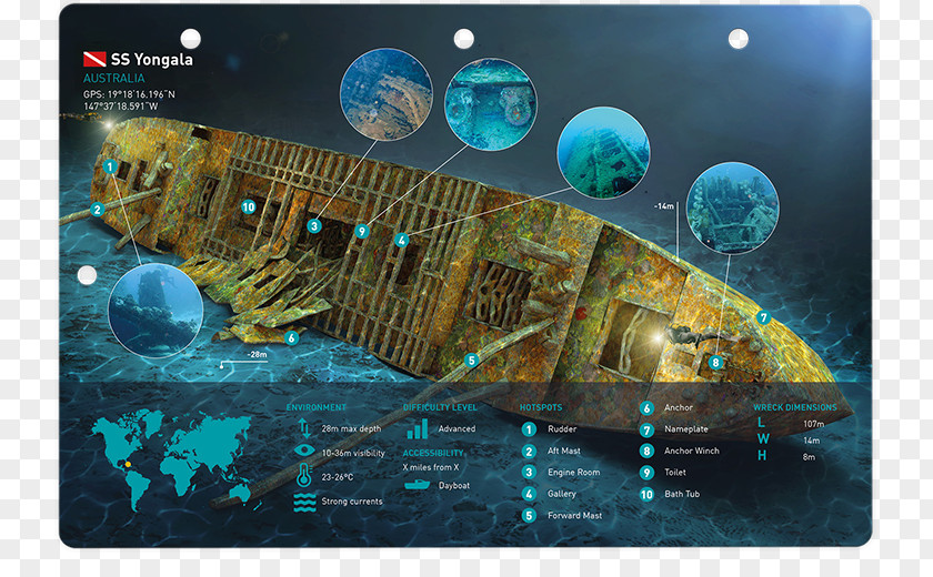 Ocean Map SS Yongala World Of Diving Marine Biology Organism Tauchgang PNG