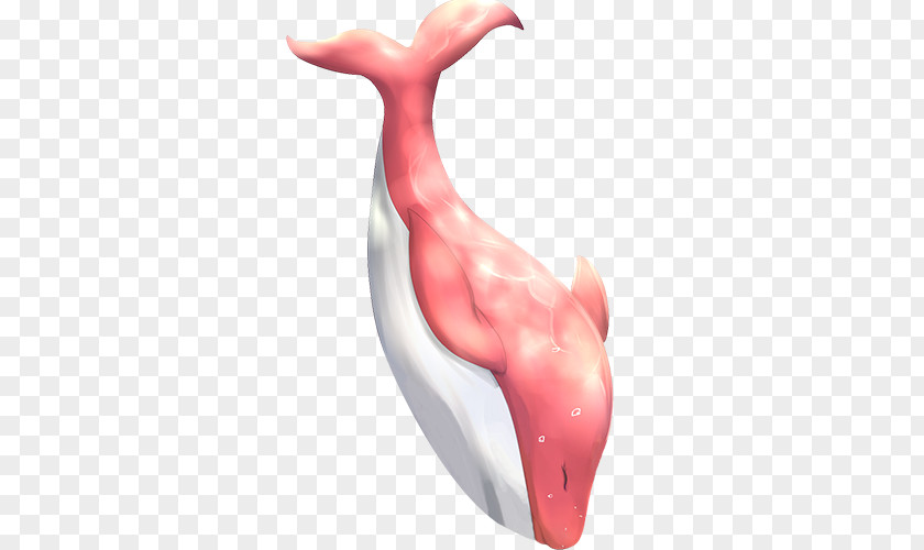 Red Dolphin Whale PNG