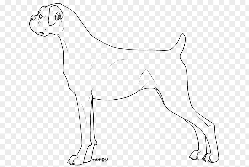 Boxer Dog Breed Line Art Drawing Free Base PNG