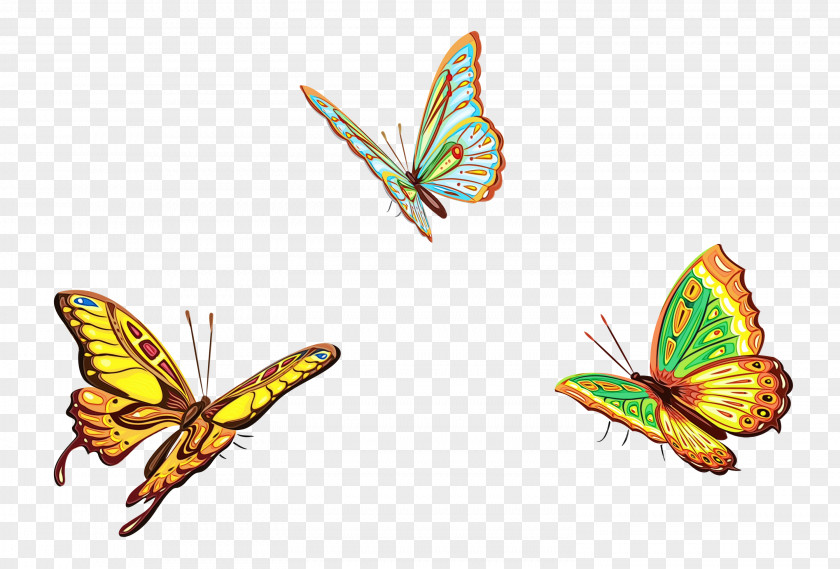 Butterfly Insect Moths And Butterflies Pollinator Wing PNG