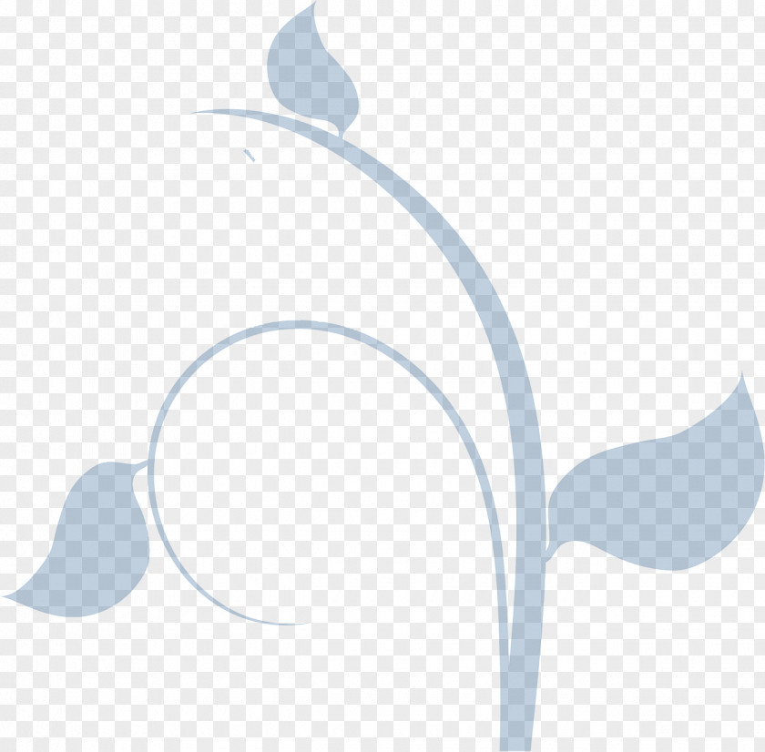 Flower Vine Clip Art PNG