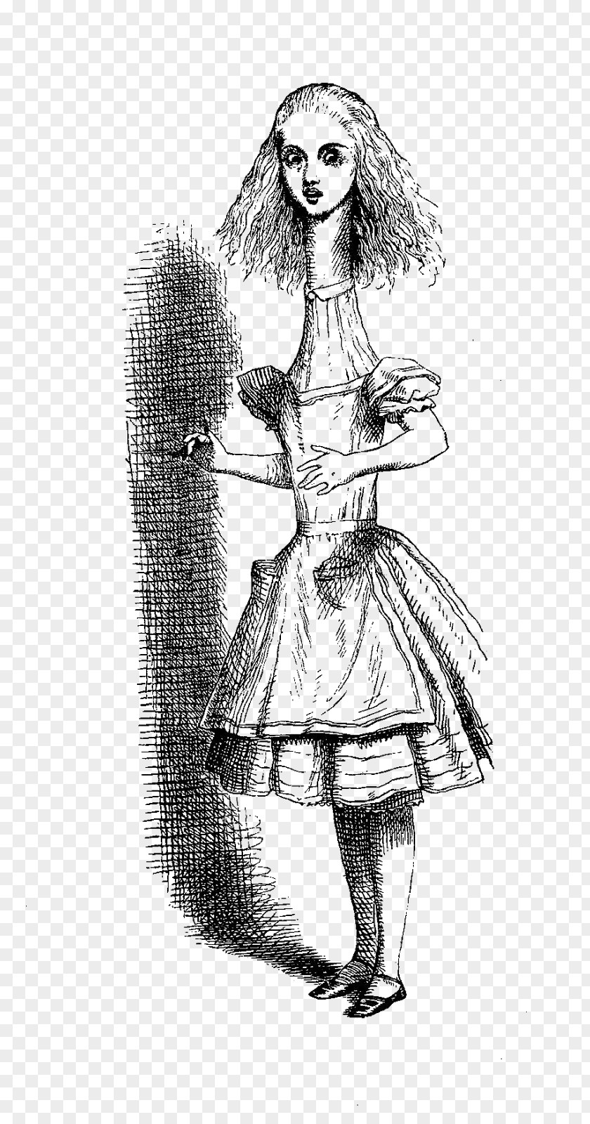 Alice In Wonderland Alice's Adventures John Tenniel Aliciae Per Speculum Transitus Cheshire Cat PNG