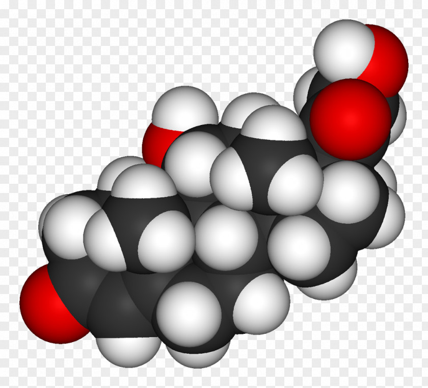 Cortisol 3D Computer Graphics Wikipedia Author PNG