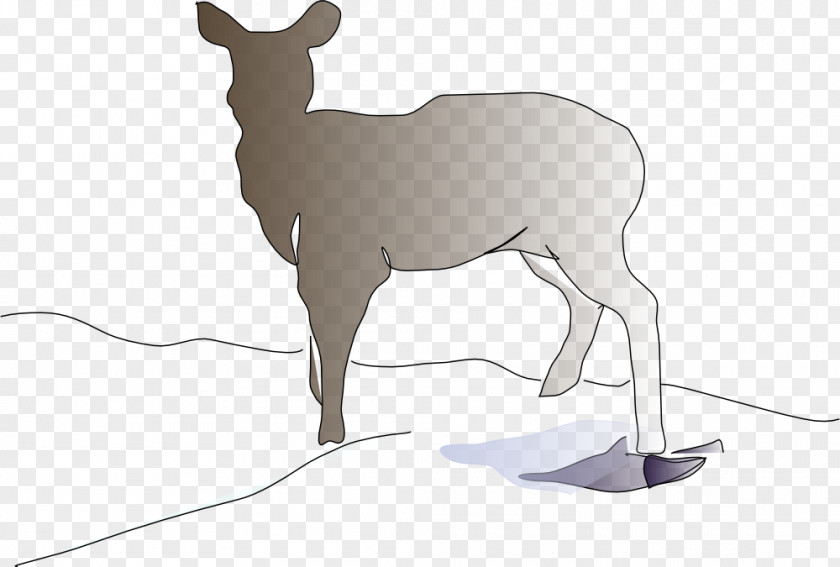 Deer Clipart Download Clip Art PNG