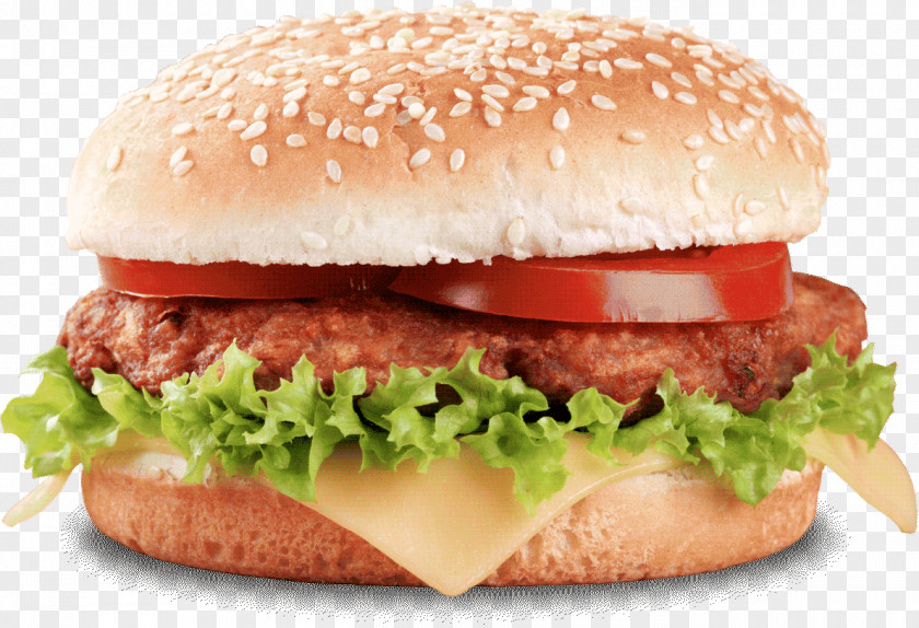Hamburger, Burger Image Mac Hamburger Cheeseburger Veggie French Fries PNG