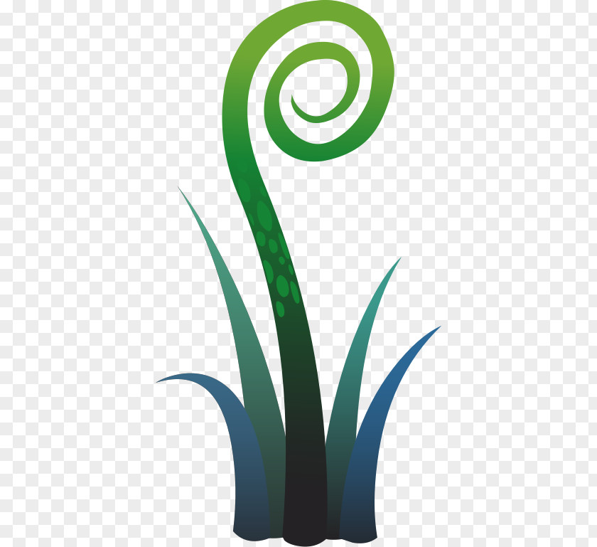 Leaf Fern Clip Art PNG