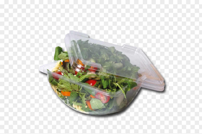 Leaf Vegetable Plastic Flowerpot Herb Tableware PNG