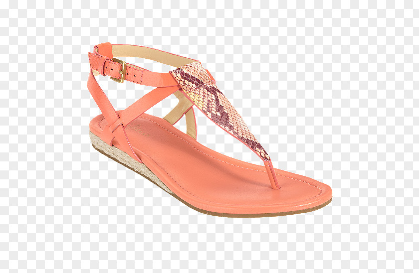 Sandal Shoe Flip-flops Product Cole Haan PNG