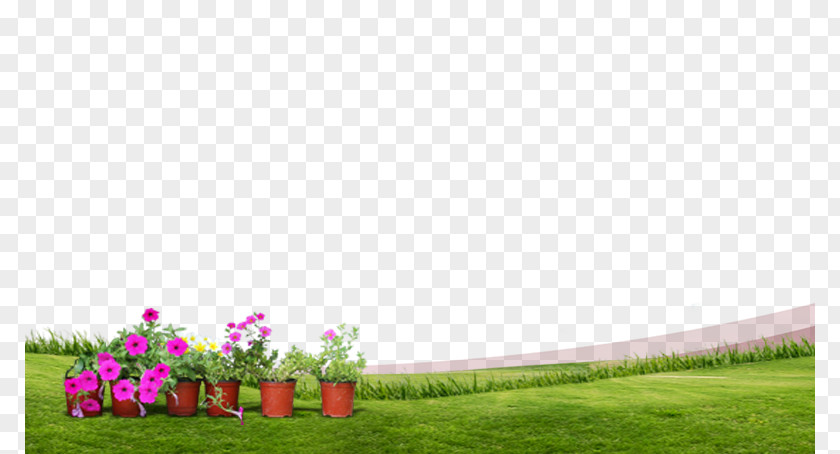 Spring Green Grass Meadow Lawn PNG