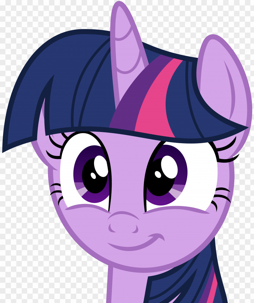 Twilight Sparkle Rainbow Dash Pony Clip Art PNG