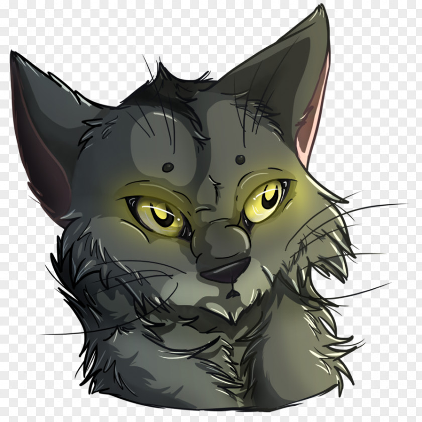 Cat Domestic Short-haired Tabby Graystripe Warriors PNG