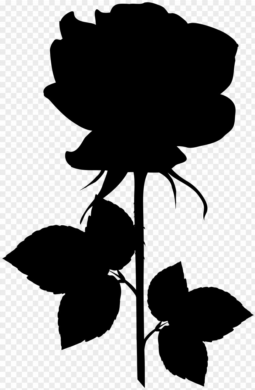 Clip Art Leaf Silhouette Plant Stem Flowering PNG