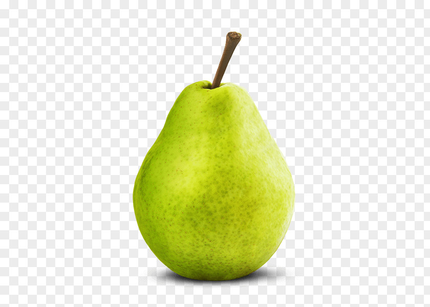 Pear Fruit Forelle Chile PNG