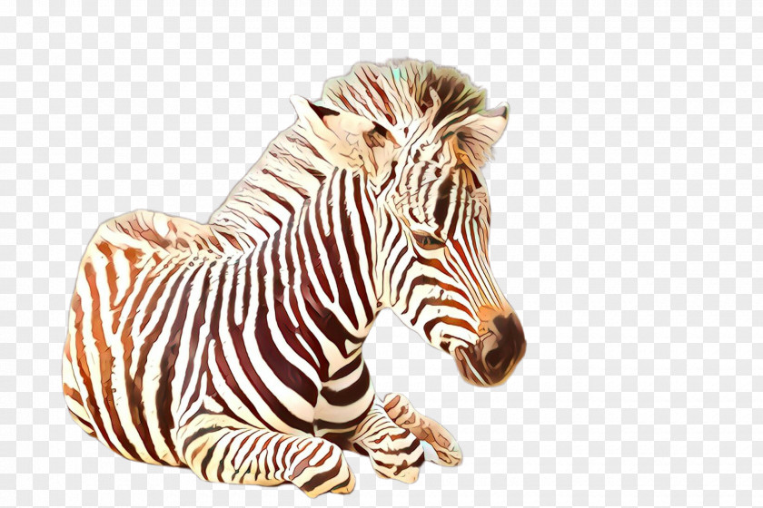 Zebra Animal Figure Wildlife Head Snout PNG
