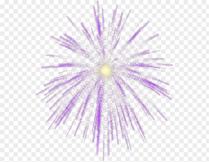 Fireworks Photography Clip Art PNG