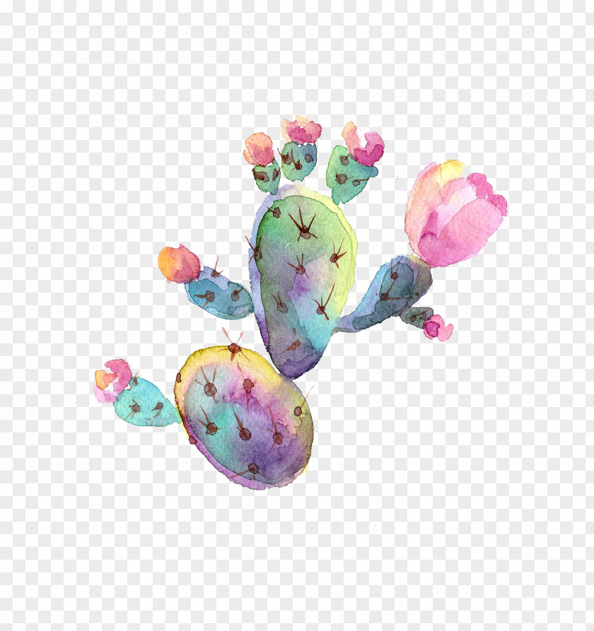 Hand Painted Watercolor Cactus Decorative Pattern Painting PNG