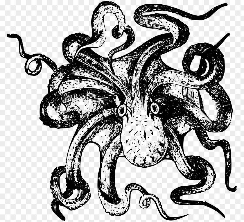 Under Sea Octopus Drawing Clip Art PNG