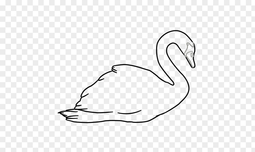 Duck Drawing Goose Clip Art PNG