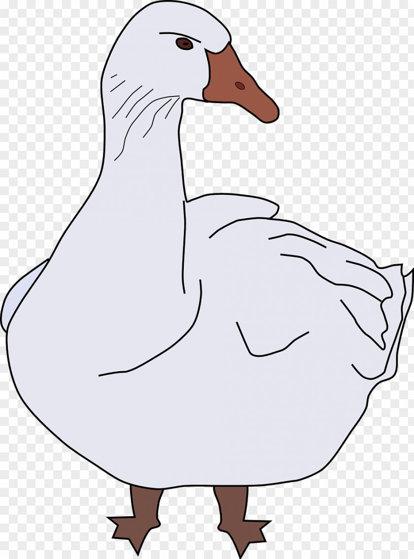 Goose Bird Cygnini Clip Art PNG