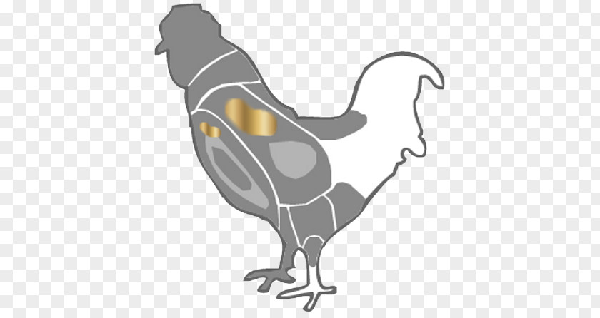 Peixe Assado Bem Rooster Chicken Clip Art Illustration Fauna PNG