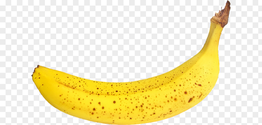 Banana Fruit PNG