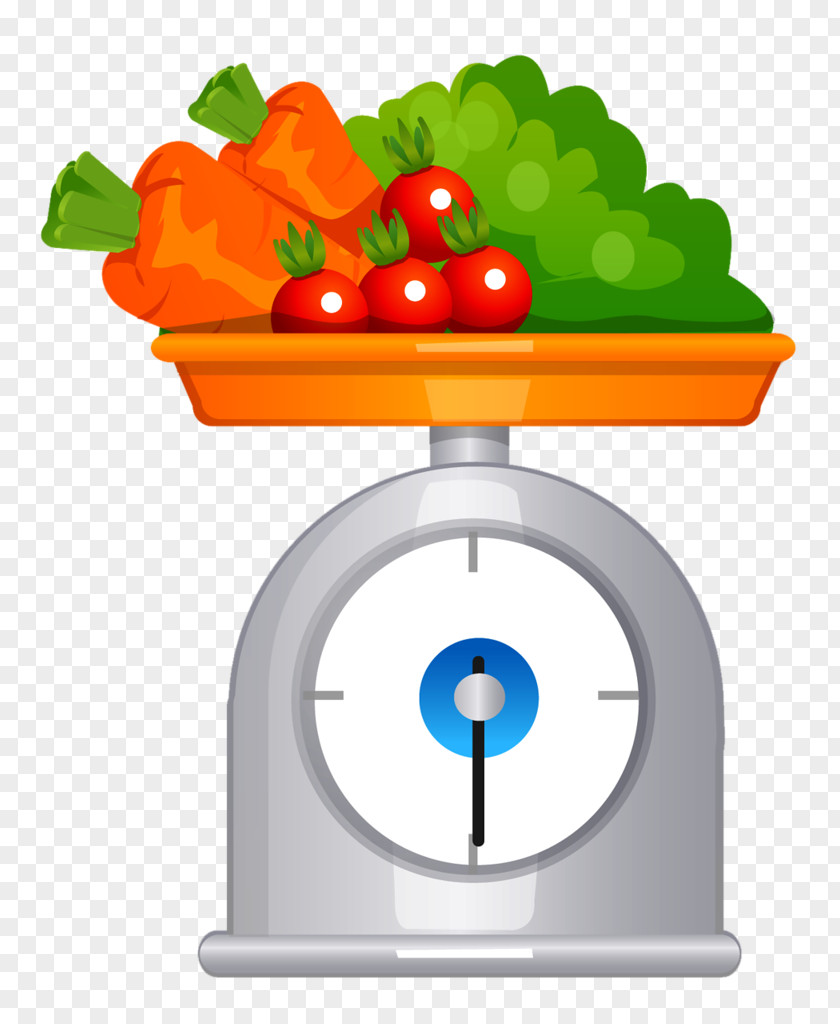 Bebidas Watercolor Vector Graphics Illustration Image Food Measuring Scales PNG