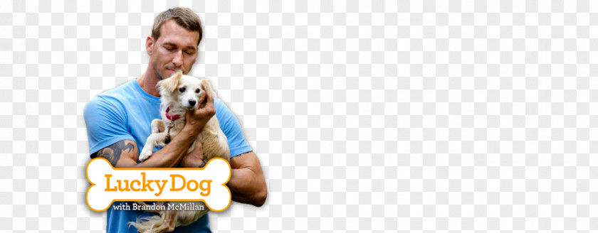 Dog Doctor Microphone PNG