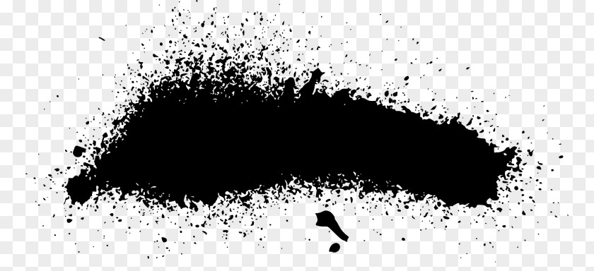 Paint Black And White Aerosol PNG