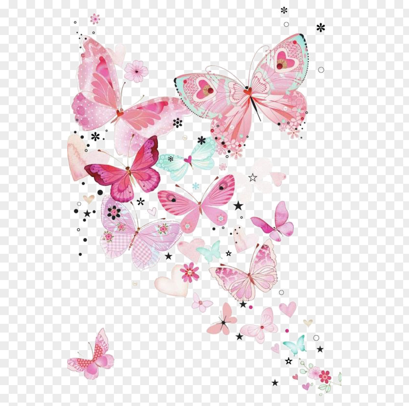 Butterfly Wallpaper PNG