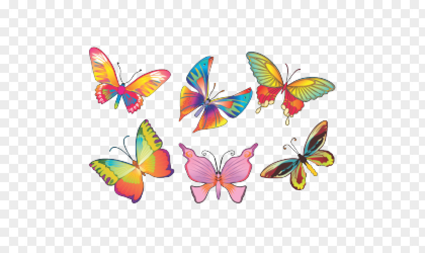 Lyna Butterfly Clip Art Monarch Drawing Information PNG