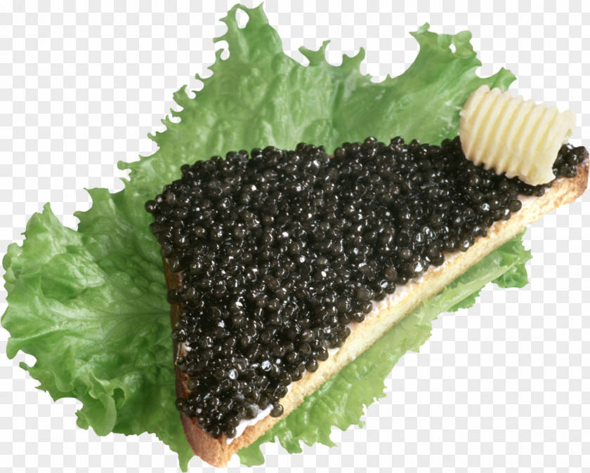 Bread Beluga Caviar Butterbrot Pancake Roe PNG