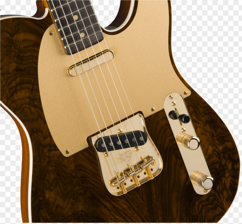 Guitar Fender American Professional Telecaster Modern Player Plus Electric Musical Instruments Corporation PNG