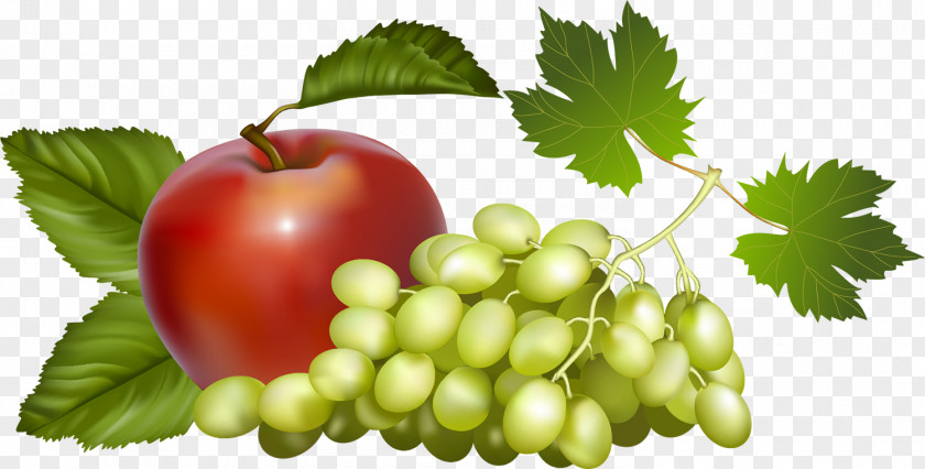 Pomegranate Fruit Hat Drawing Grape PNG