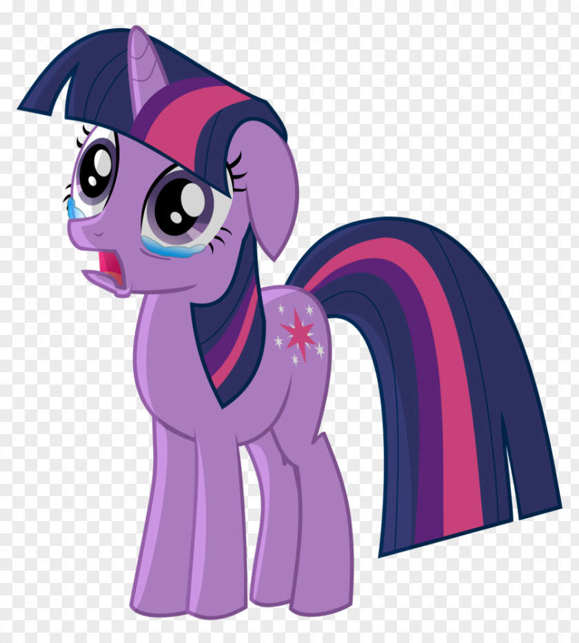 Vindicate Twilight Sparkle Princess Celestia Rainbow Dash Fluttershy Pony PNG
